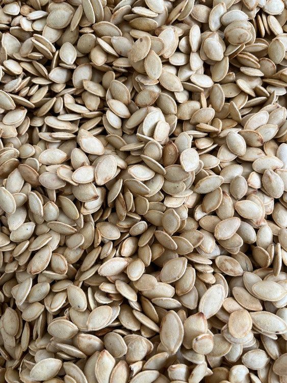 تخمه کدو سایز ۱۱ خارجی با کیفیت ممتاز – مناسب فروش عمده، بستهبندی و آجیلفروشی؛ تصویر محصول وارداتی درشت و یکدست